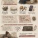 infografika