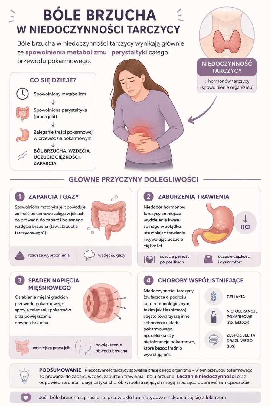 infografika