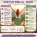 infografika