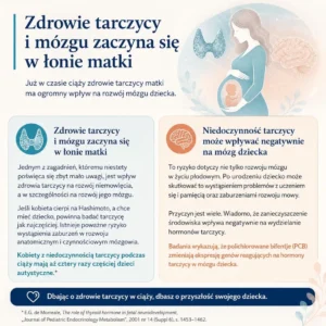 infografika