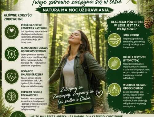 infografika