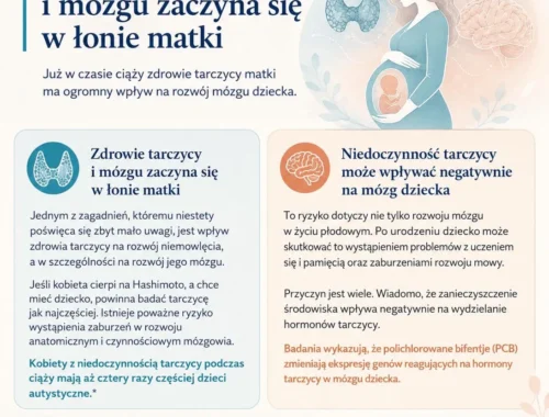 infografika