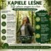 infografika