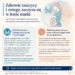 infografika