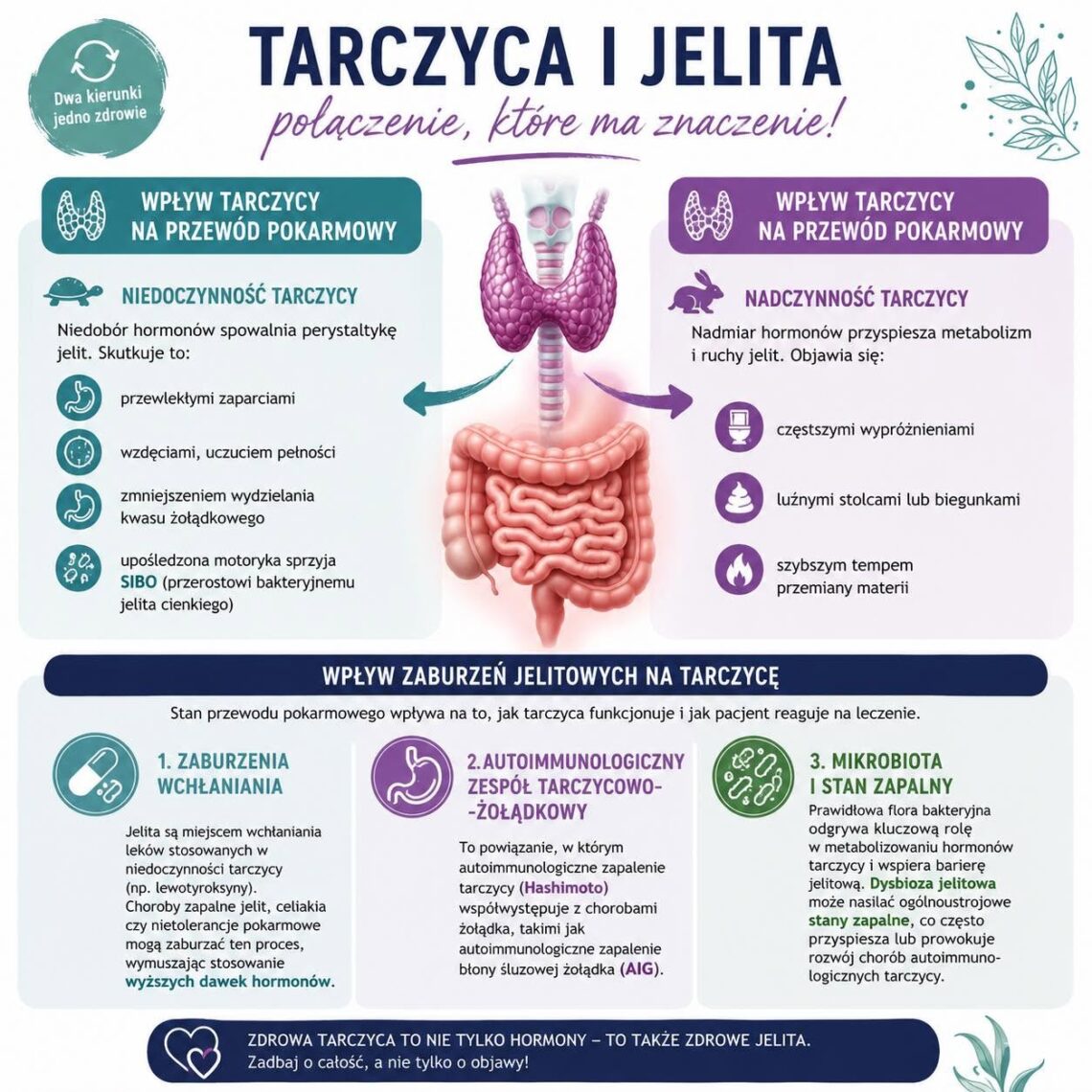 infografika