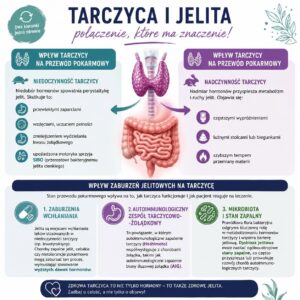 infografika
