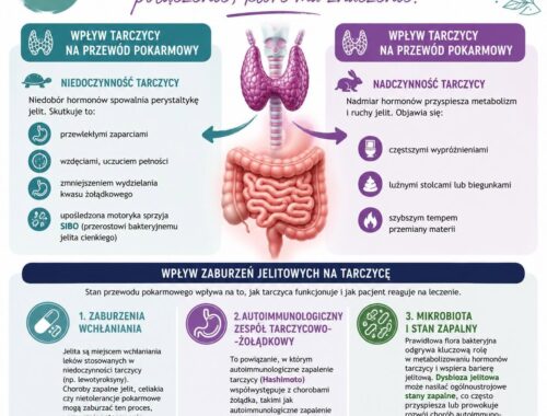 infografika