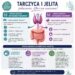 infografika