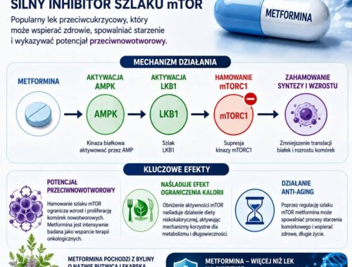 infografika