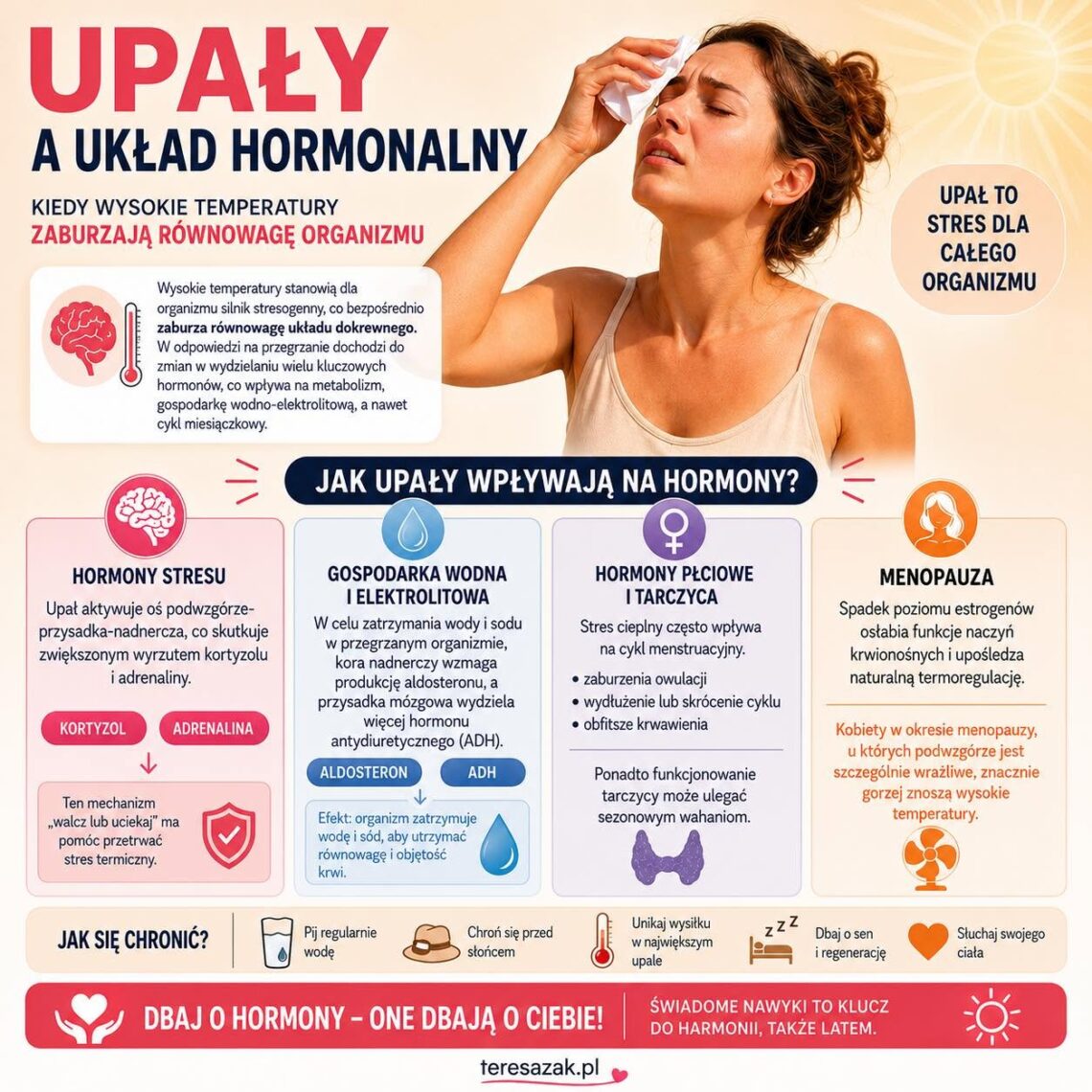 infografika