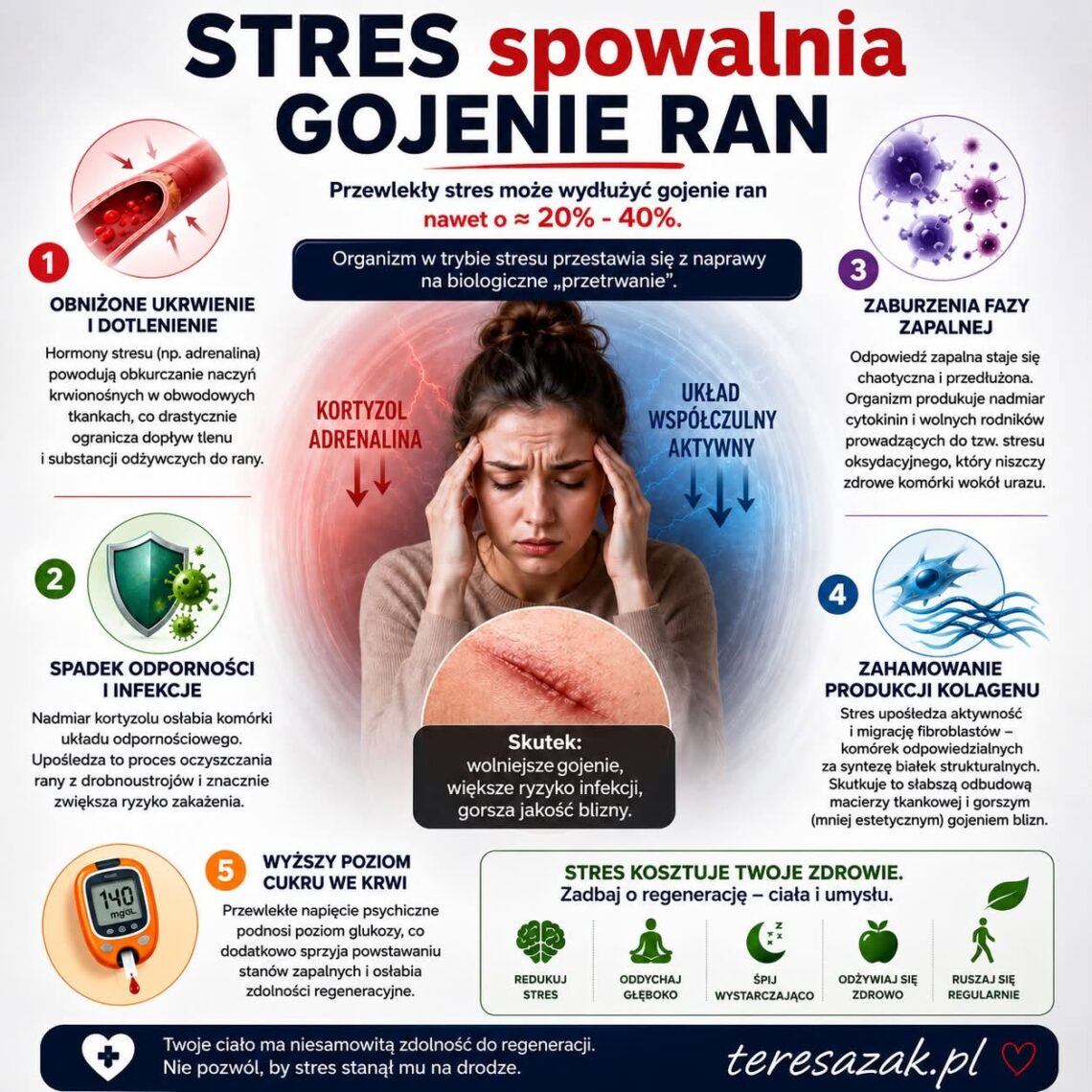 infografika