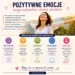 infografika