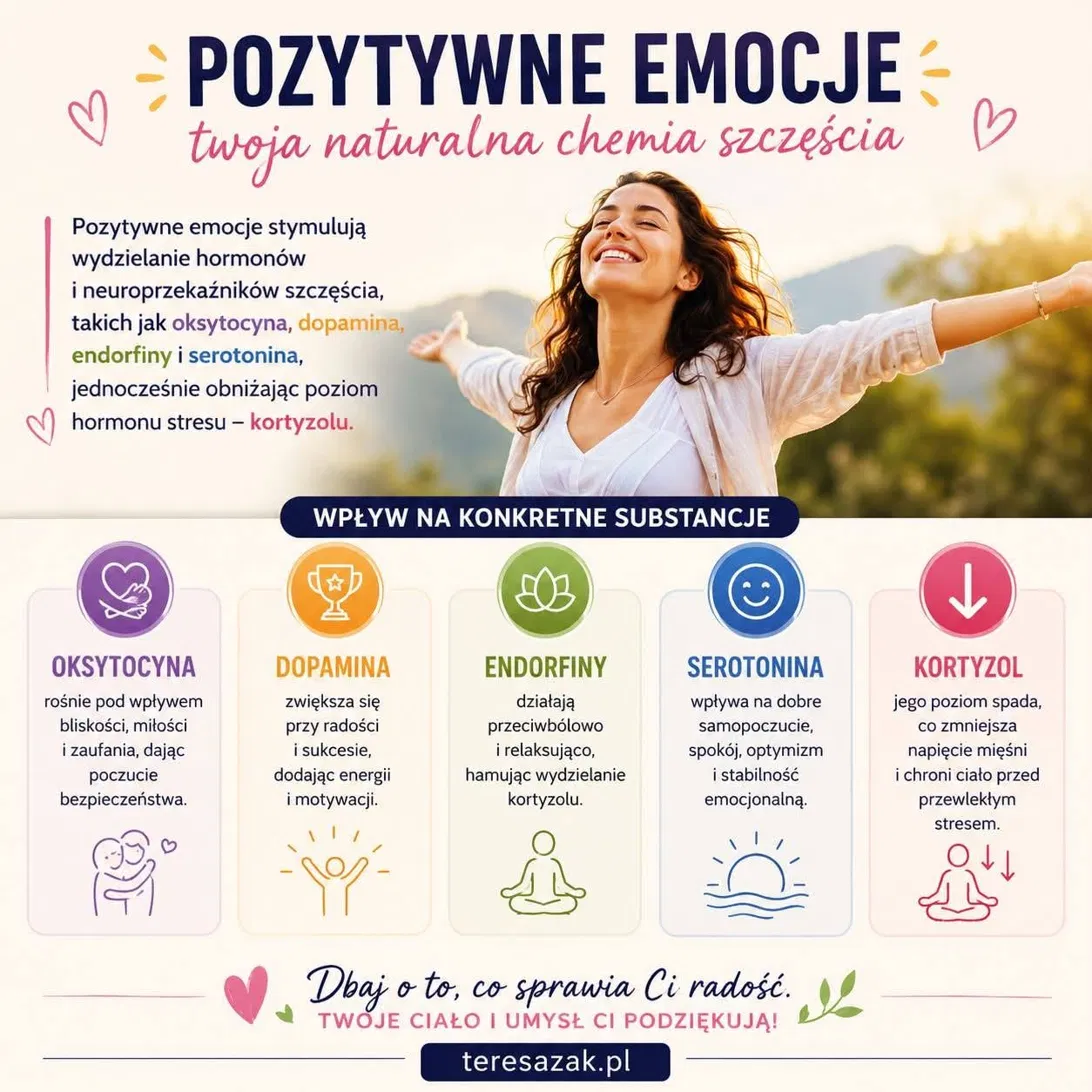infografika