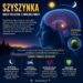 infografika