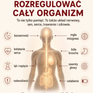 infografika
