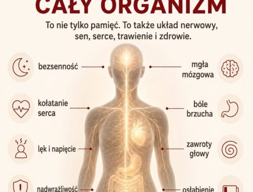 infografika
