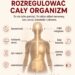 infografika