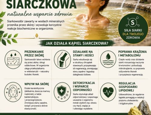 infografika
