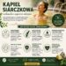 infografika