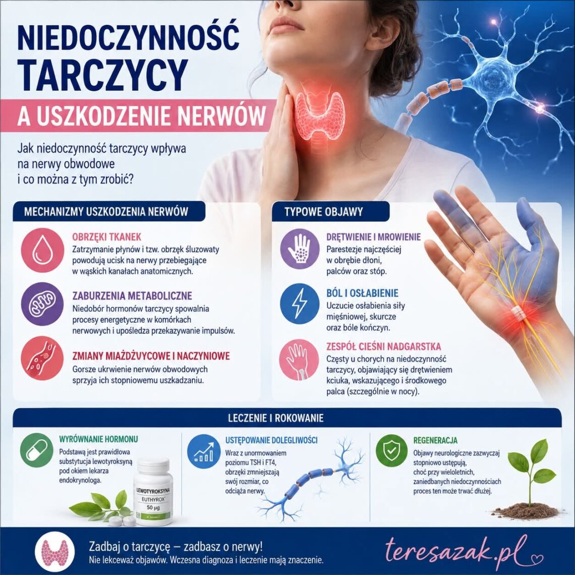 infografika