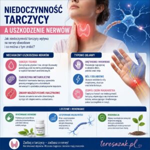 infografika