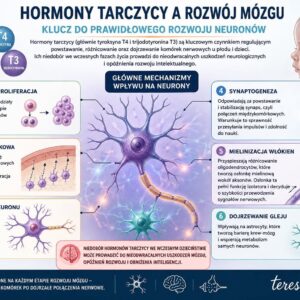 infografika