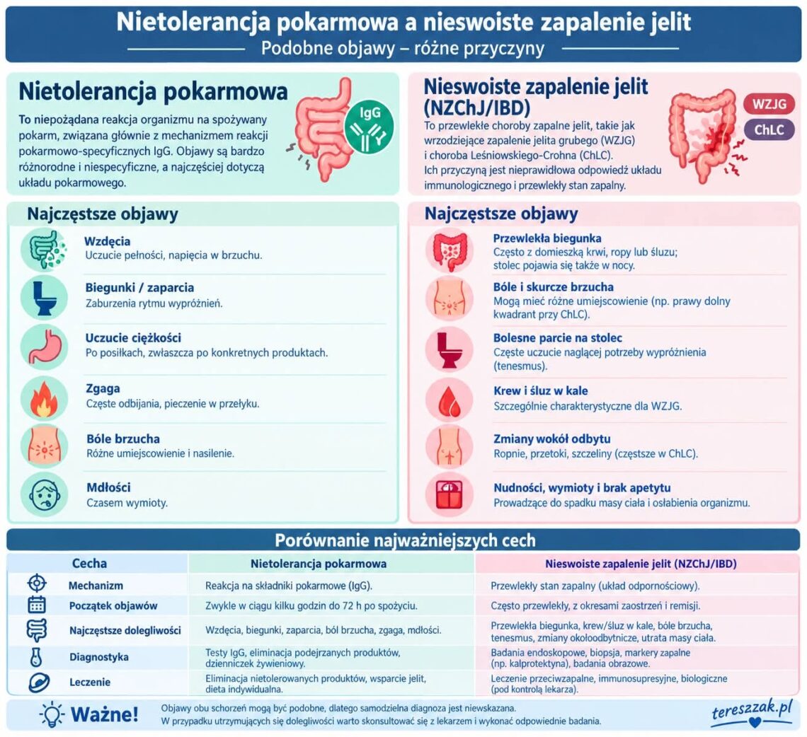 infografika