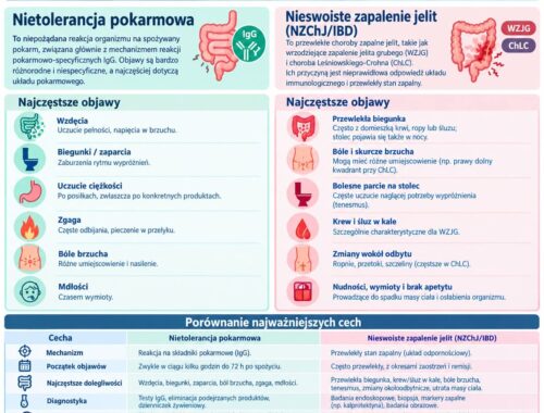 infografika