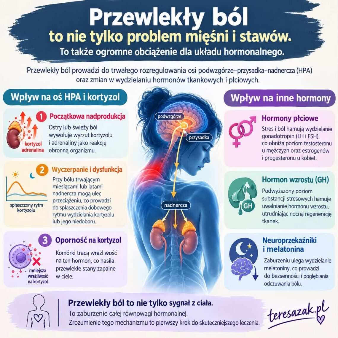 infografika