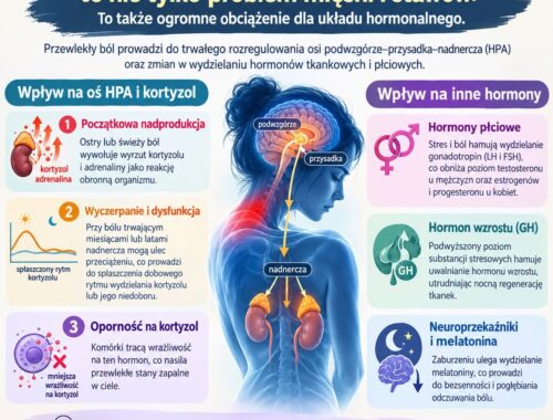 infografika