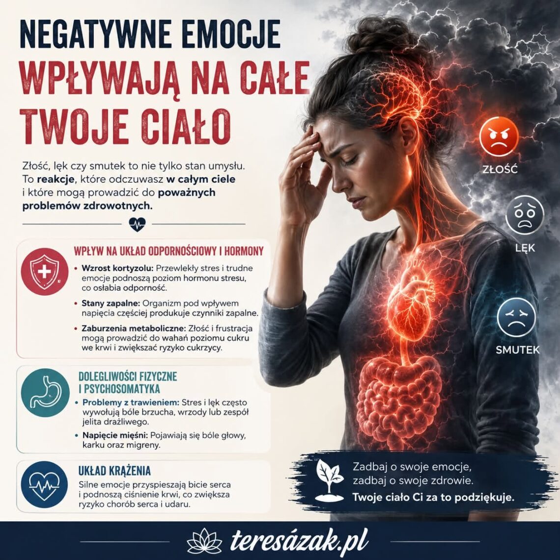 infografika