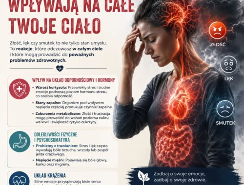 infografika