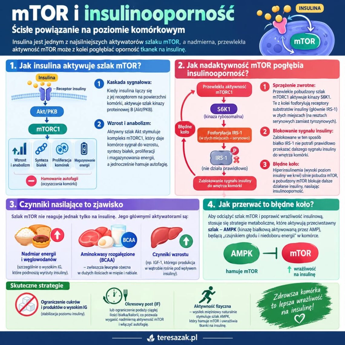infografika