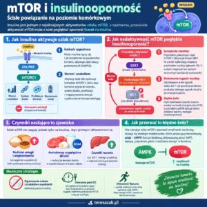 infografika