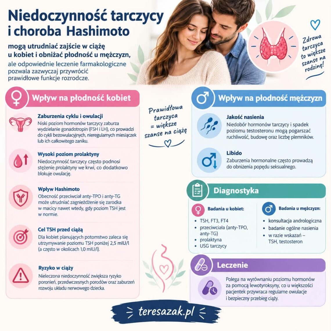 infografika