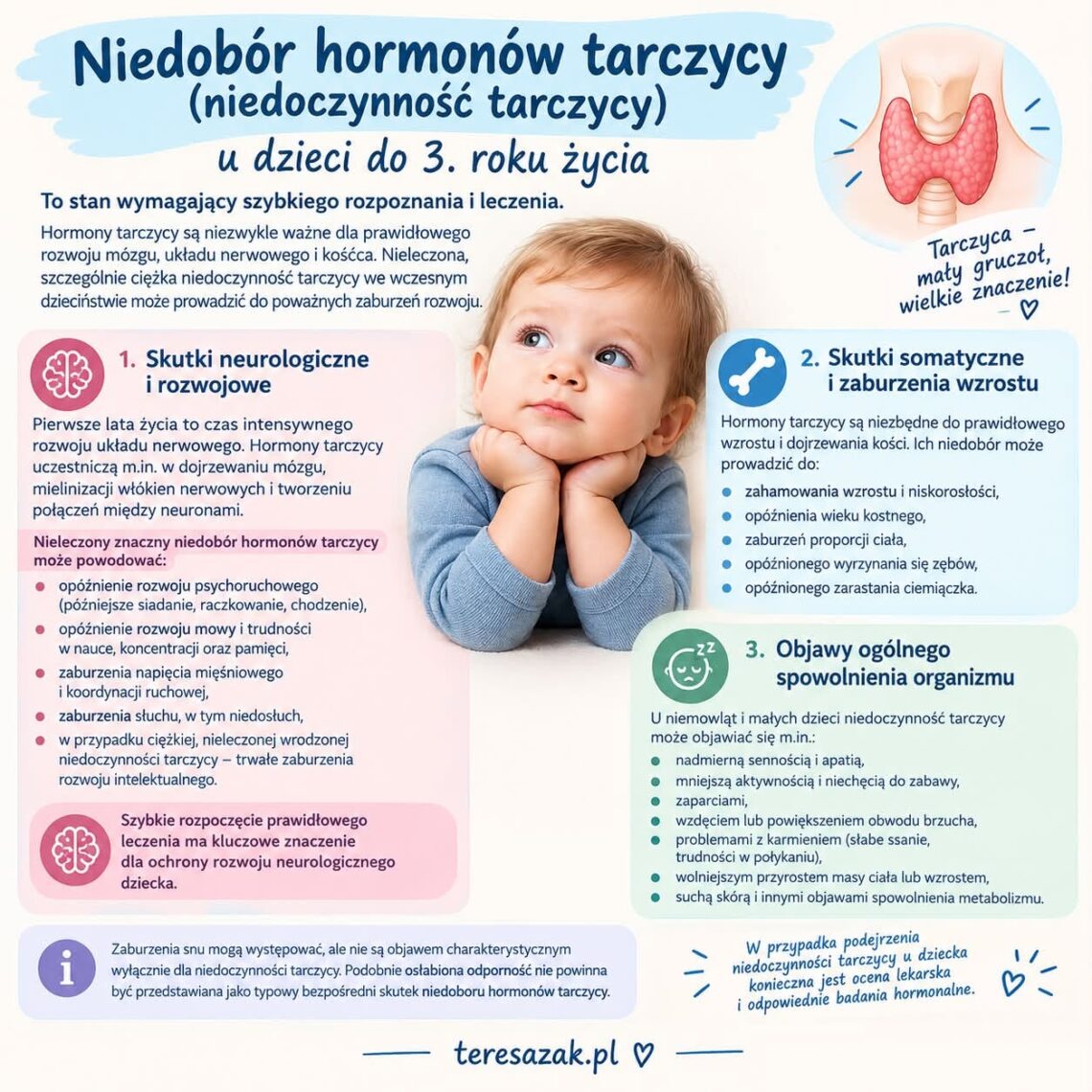 infografika